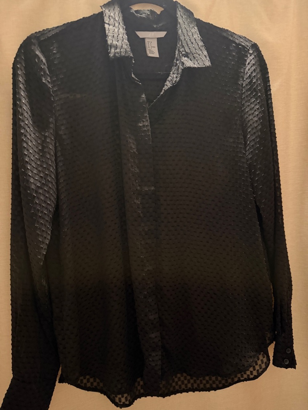 H&M Sheer Textured Black Button-Up Blouse
